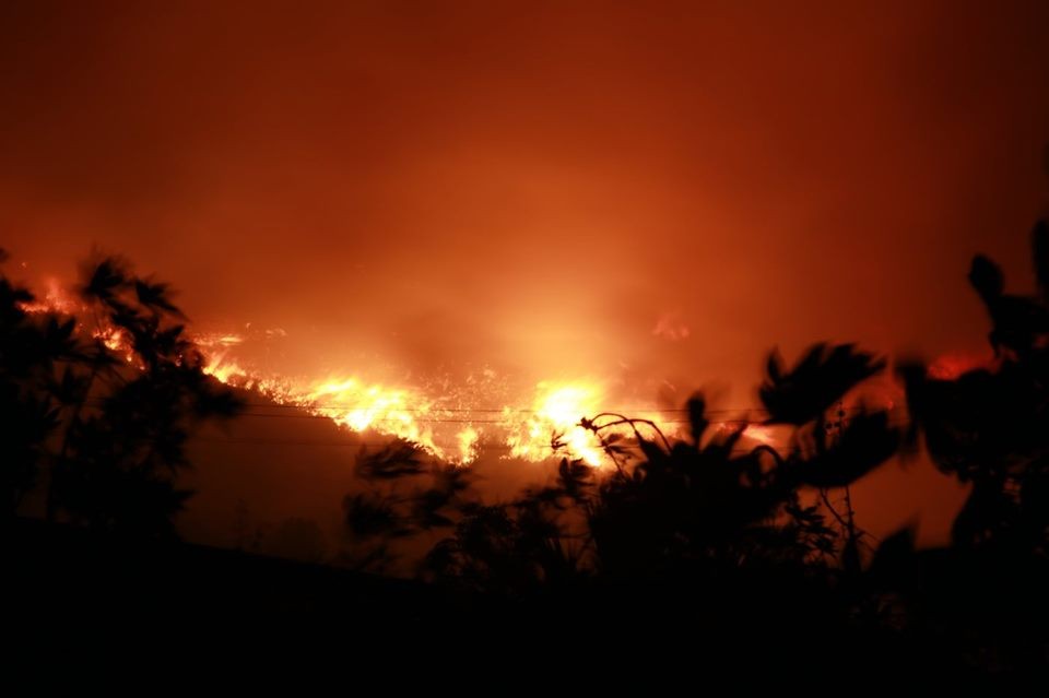 لبنان يحترق غابات2.jpg
