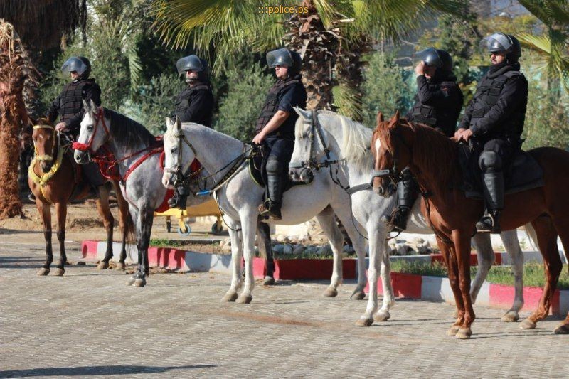 الشرطة خيول غزة.jpg