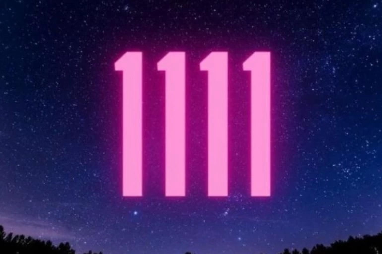 1111.webp